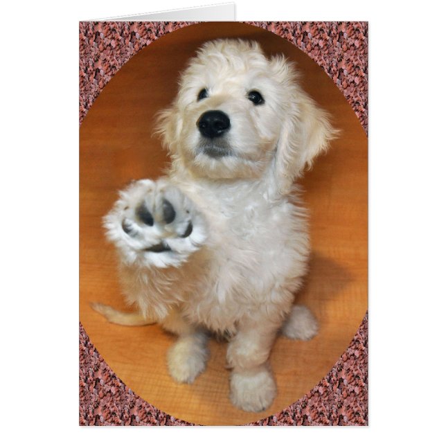 Goldendoodle Gespräch zur Tatzenkarte (Vorne)