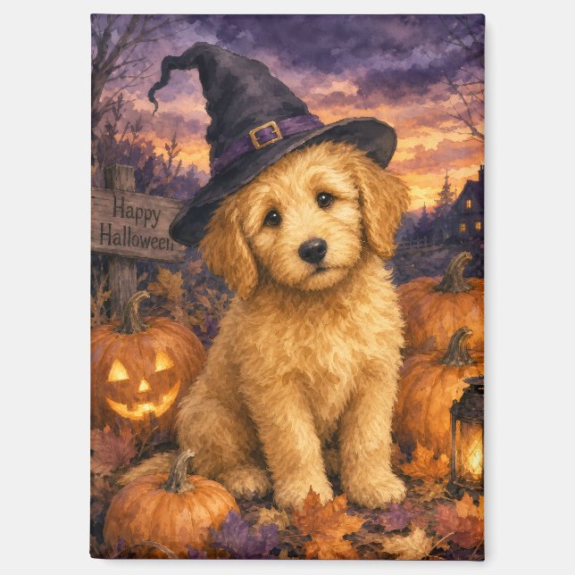 Goldendoodle Hexenhut Kürbis Magnet (Vorderseite)