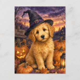 Goldendoodle Hexenhut Kürbis Postkarte