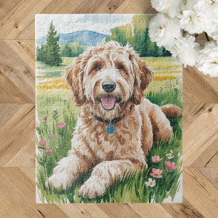 Goldendoodle-Hund