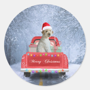 Goldendoodle Hund im Schnee sitzen in Weihnachten Runder Aufkleber
