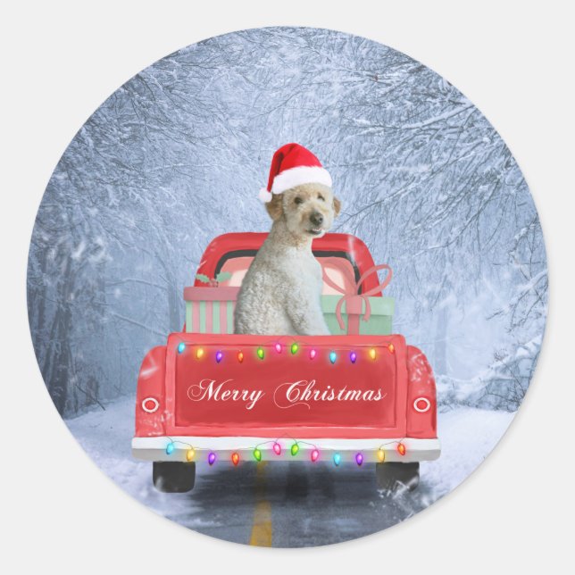 Goldendoodle Hund im Schnee sitzen in Weihnachten Runder Aufkleber (Vorderseite)