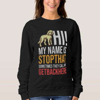 Goldendoodle Hund Welpen Eigentümer Sweatshirt