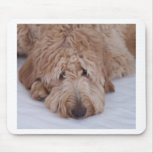 GoldenDoodle Hundegeschenk Mousepads/Mousemats Mousepad