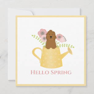 Goldendoodle im Wasser kann gelb sein Karte