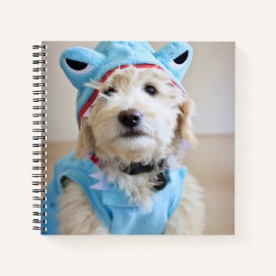 Goldendoodle in Haikostüm Notizbuch