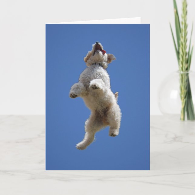 Goldendoodle Jumping Grußkarte Karte (Vorderseite)