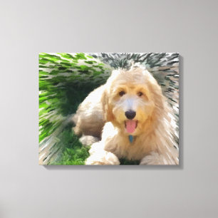 Goldendoodle Labradoodle Leinwanddruck