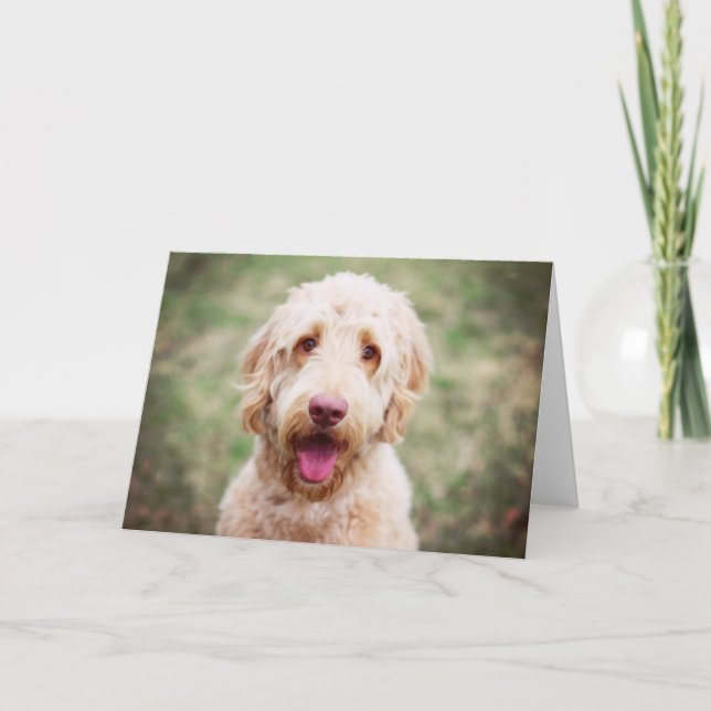 Goldendoodle Lächeln Karte (Vorderseite)