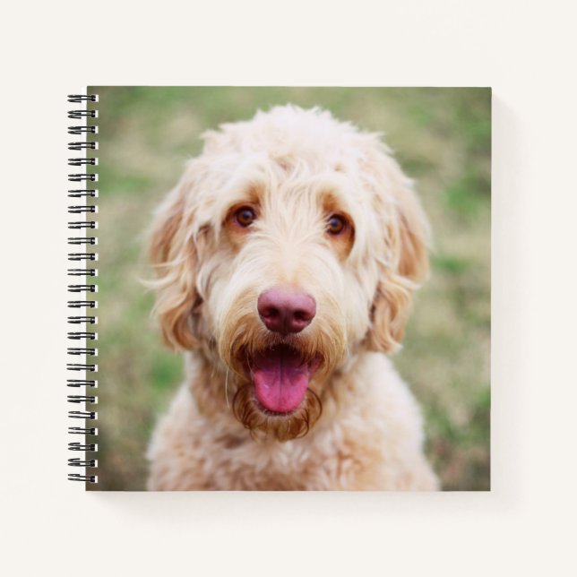 Goldendoodle Lächeln Notizbuch (Vorderseite)