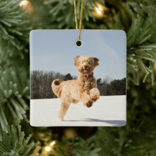 Goldendoodle läuft durch Felder Keramikornament