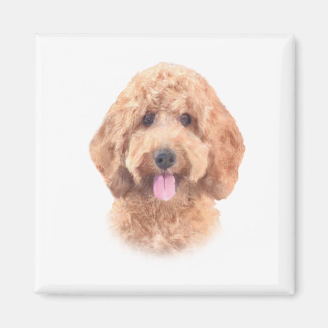 Goldendoodle-Magnet Magnet (Vorne)