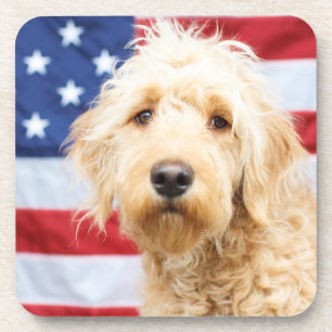 Goldendoodle mit amerikanischer Flagge Getränkeuntersetzer