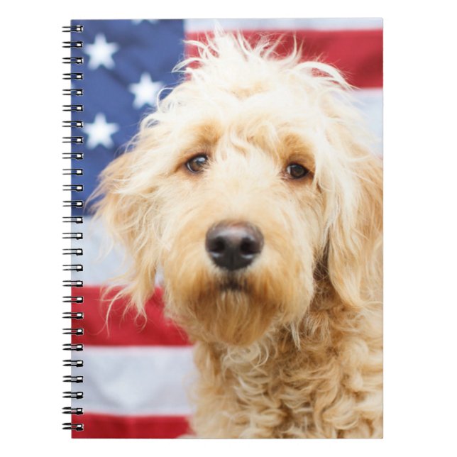 Goldendoodle mit amerikanischer Flagge Notizblock (Vorderseite)