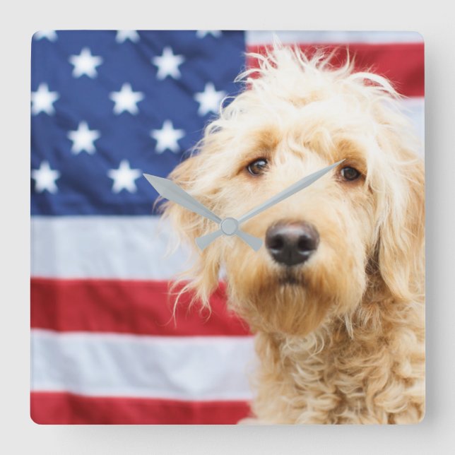 Goldendoodle mit amerikanischer Flagge Quadratische Wanduhr (Vorderseite)