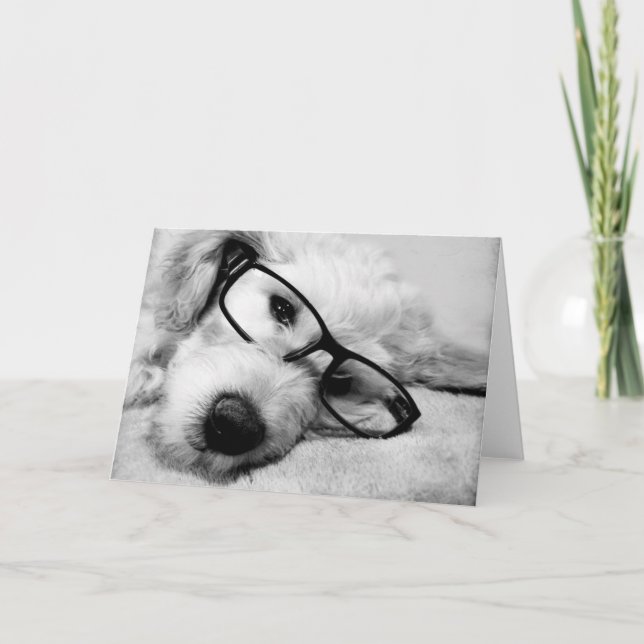 Goldendoodle mit Brille Karte (Vorderseite)