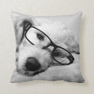 Goldendoodle mit Brille Kissen