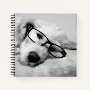 Goldendoodle mit Brille Notizbuch