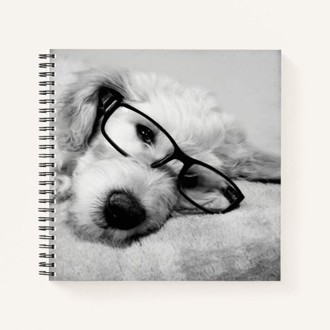 Goldendoodle mit Brille Notizbuch (Vorderseite)