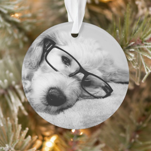 Goldendoodle mit Brille Ornament (Baum)