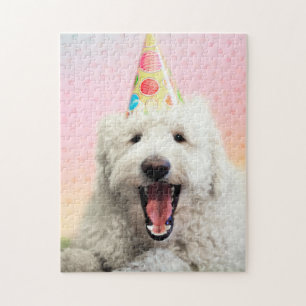 Goldendoodle mit Party-Hut