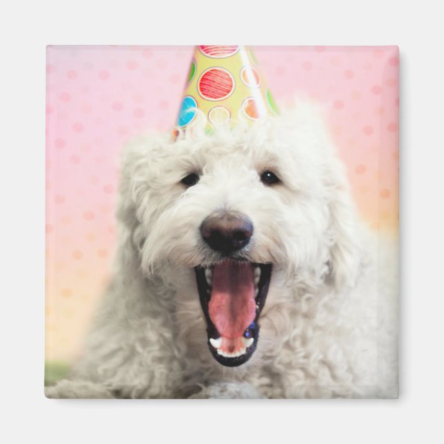 Goldendoodle mit Party-Hut Magnet (Vorne)
