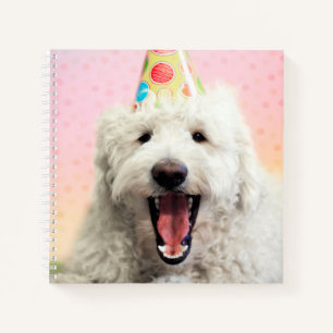 Goldendoodle mit Party-Hut Notizbuch