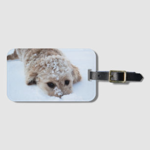 Goldendoodle mit Schnee Gepäckanhänger