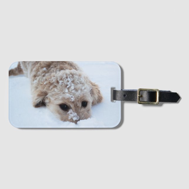 Goldendoodle mit Schnee Gepäckanhänger (Vorderseite (Horizontal))