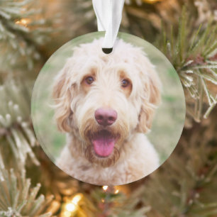 Goldendoodle Ornament