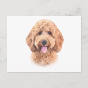Goldendoodle Postkarte