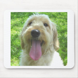 Goldendoodle Produkte Mousepad