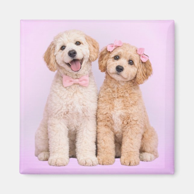 Goldendoodle Puppy Love Valentine Magnet (Devant)