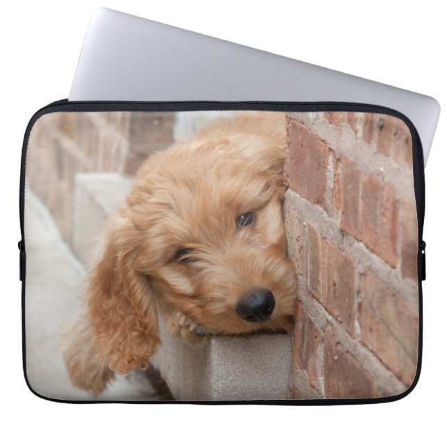 Goldendoodle Puppy Peeking Laptopschutzhülle (Vorderseite)