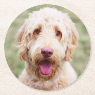 Goldendoodle Runder Pappuntersetzer