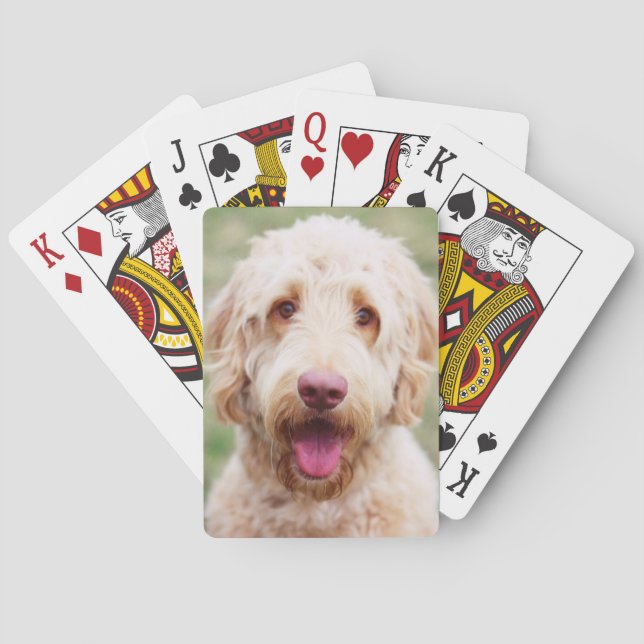 Goldendoodle Spielkarten (Rückseite)