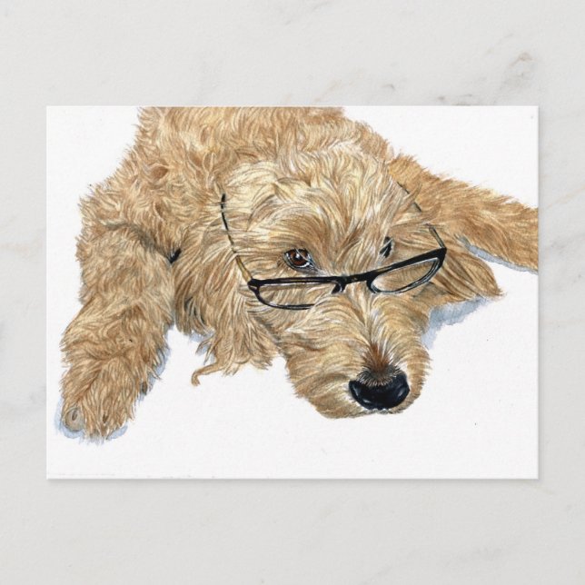 Goldendoodle Stella Postcard Postkarte (Vorderseite)
