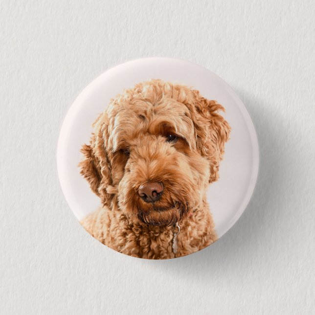Goldendoodle Studio Button (Vorderseite)