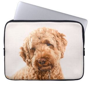 Goldendoodle Studio Portrait Laptopschutzhülle