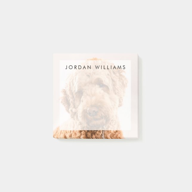 Goldendoodle Studio Portrait Post-it Klebezettel (Vorderseite)