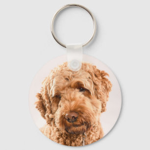 Goldendoodle Studio Portrait Schlüsselanhänger