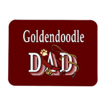 Goldendoodle-Vater