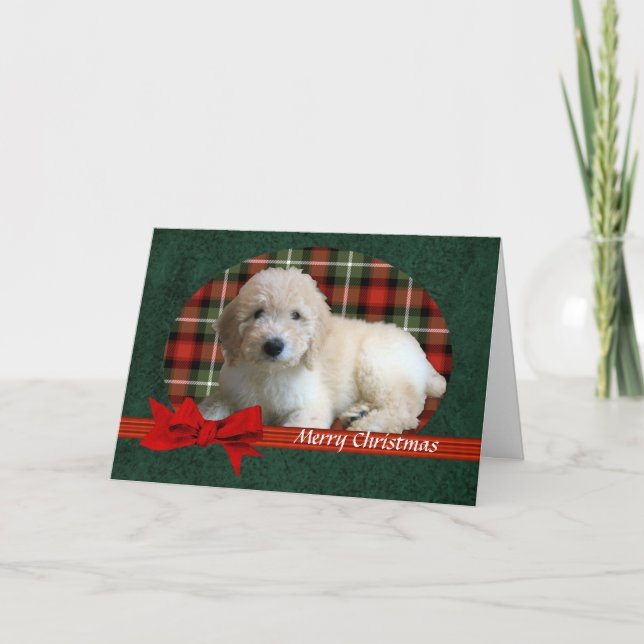 GoldenDoodle Weihnachtsfeiertag kundengerecht Feiertagskarte (Vorderseite)