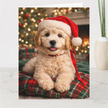 Goldendoodle-Weihnachtskarte