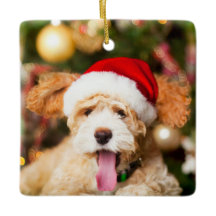 Goldendoodle Weihnachtsschmuck Stone