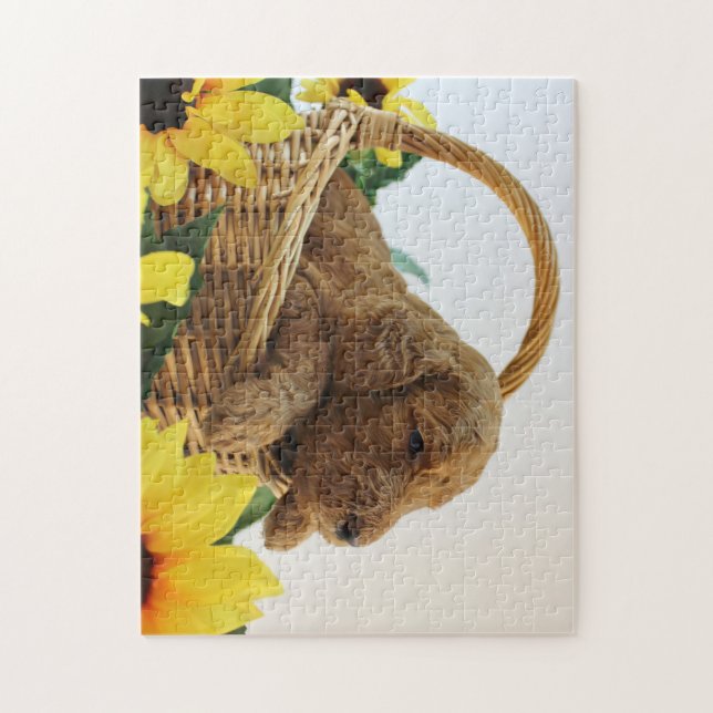 Goldendoodle Welpe 11X14 (252 PC.) Puzzlespiel (Vertikal)