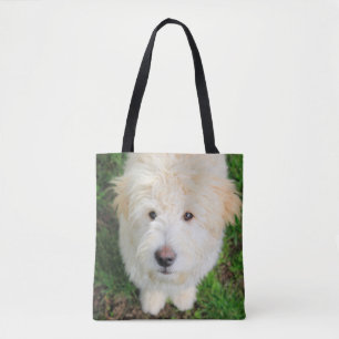 Goldendoodle Welpe Blick auf Kamera Tasche