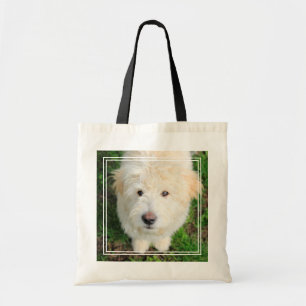 Goldendoodle Welpe Blick auf Kamera Tragetasche