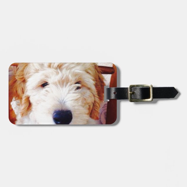 Goldendoodle Welpe Gepäckanhänger (Vorderseite horizontal)