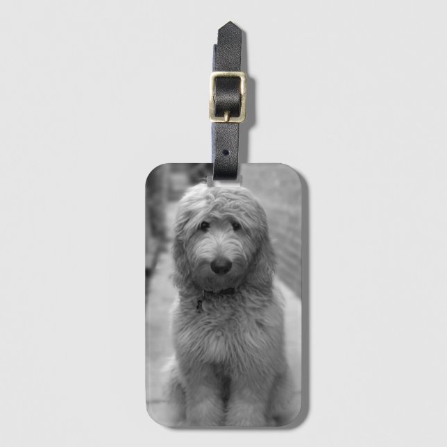 Goldendoodle-Welpe im Garten Gepäckanhänger (Vorderseite Vertikal)